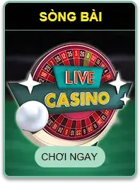 79KING1 app